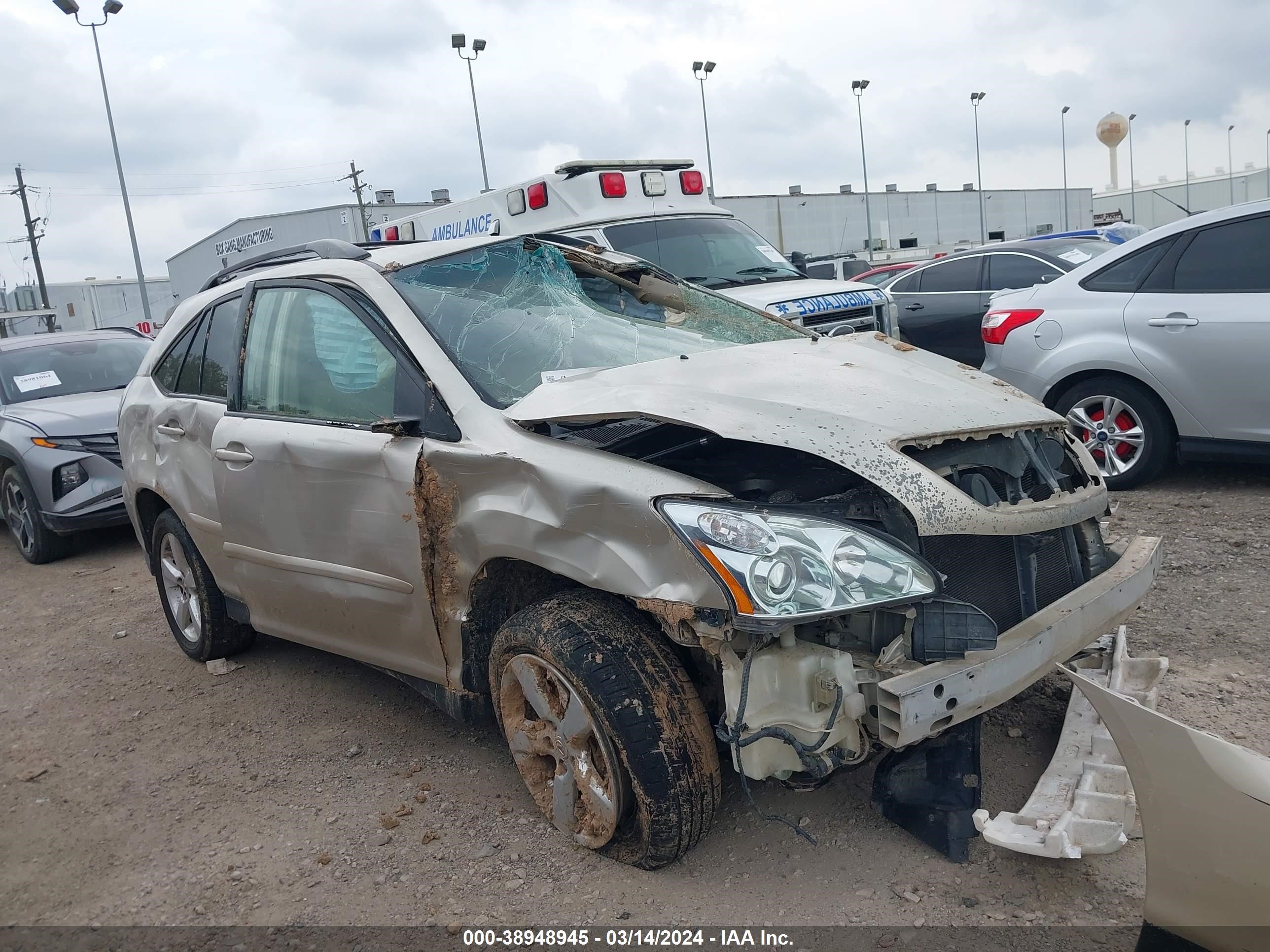 LEXUS RX 2007 jtjhk31u672007031