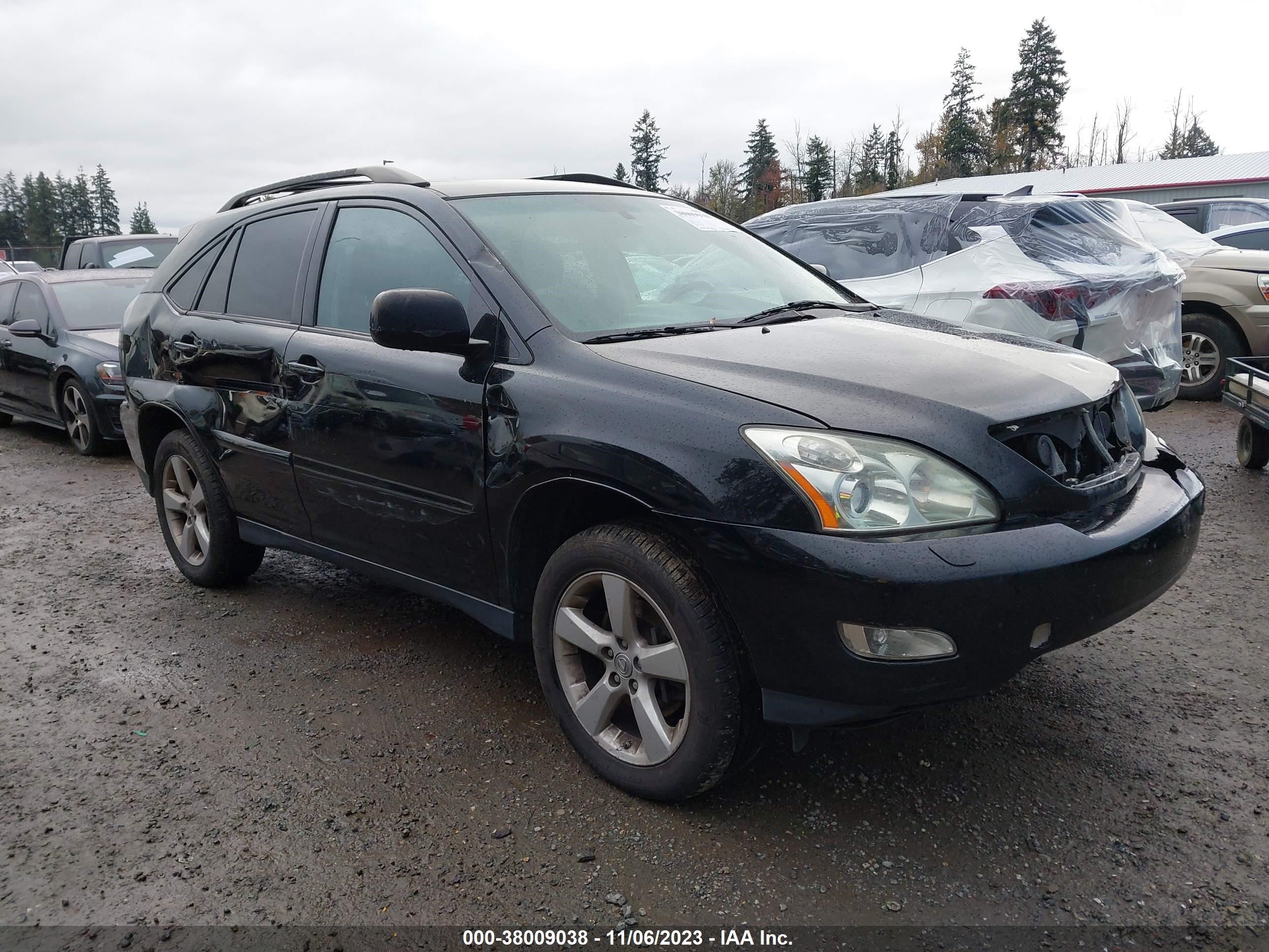 LEXUS RX 2007 jtjhk31u872025210