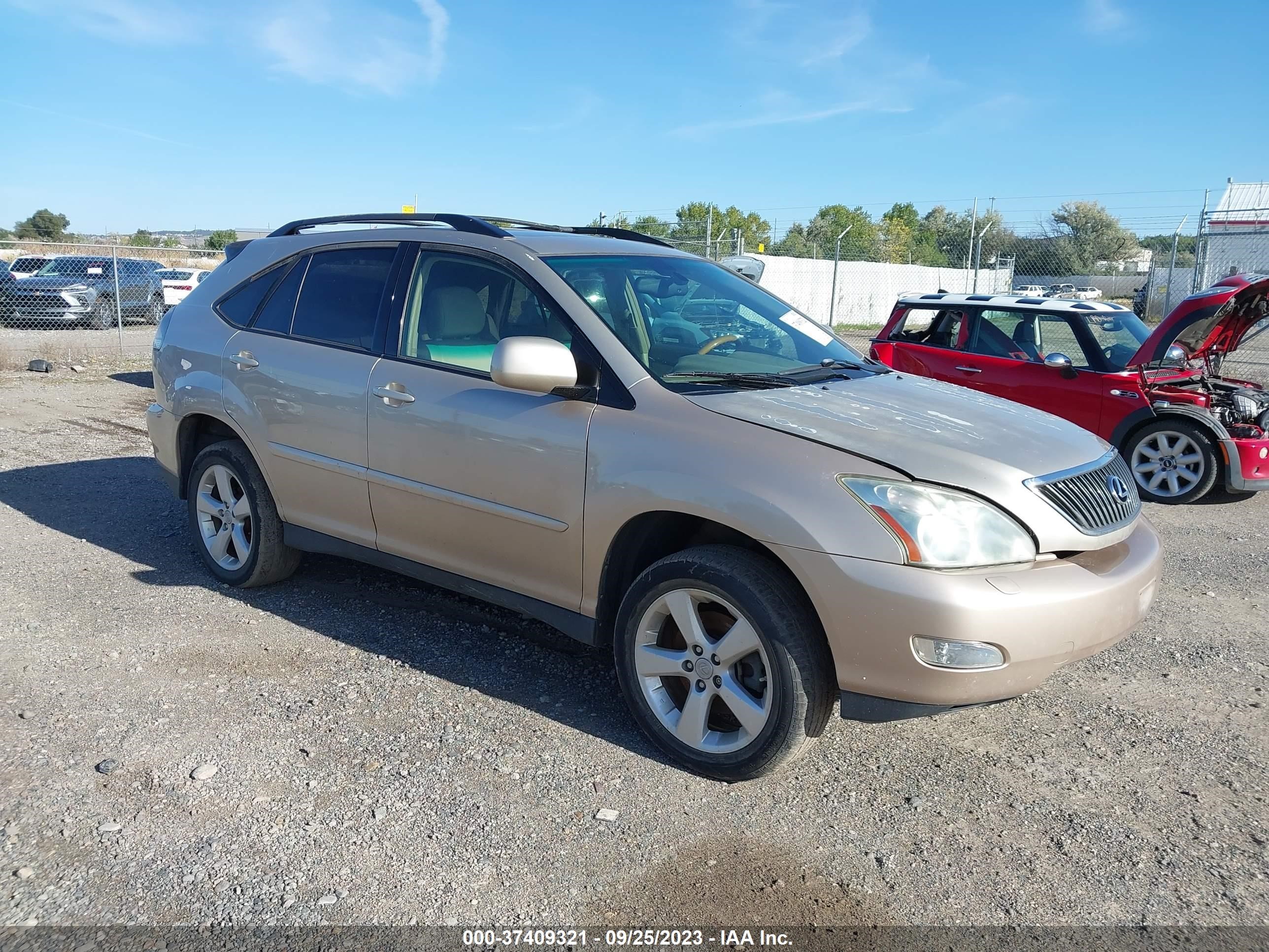 LEXUS RX 2007 jtjhk31u972005385