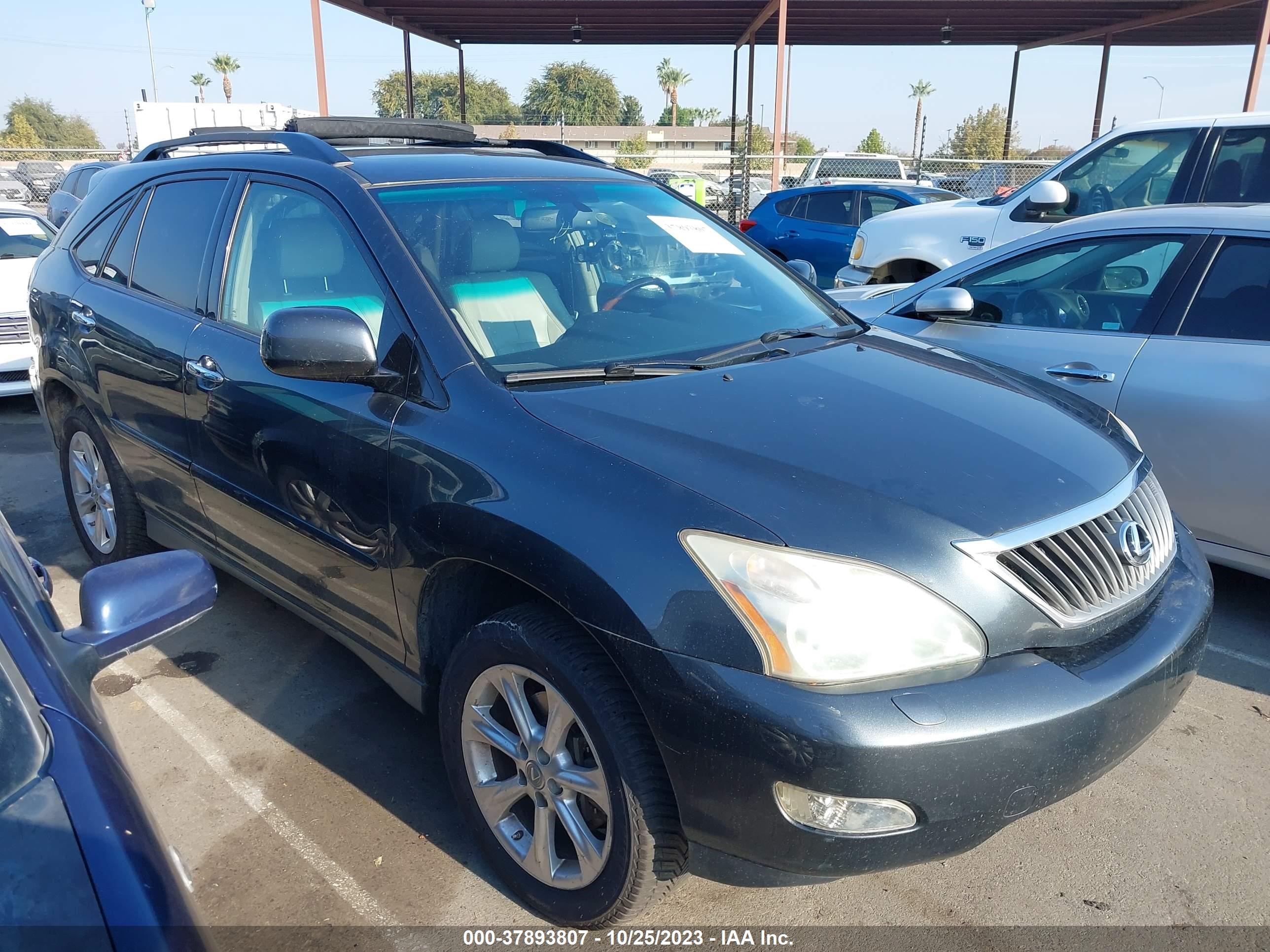 LEXUS RX 2008 jtjhk31u982047251