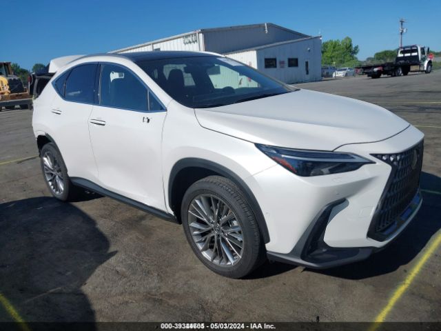 LEXUS NX 350H 2022 jtjhkcez1n5000392