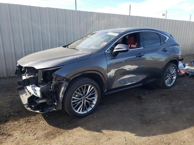 LEXUS NX 350 2022 jtjhkcez1n5003289