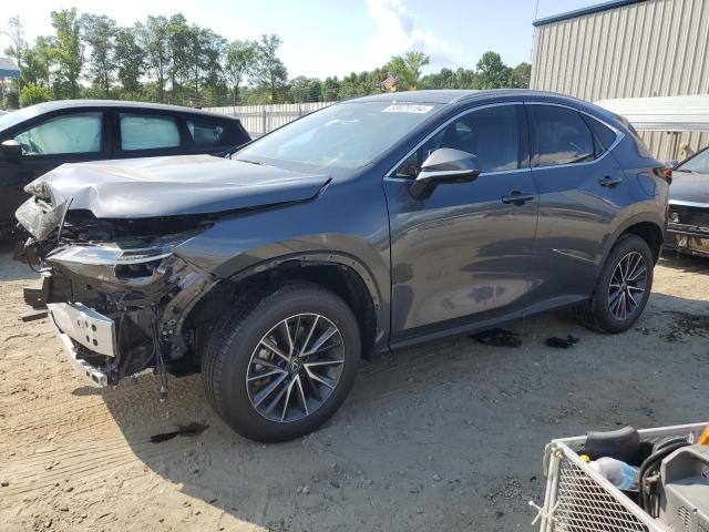 LEXUS NX 350H BA 2024 jtjhkcez1r5013469