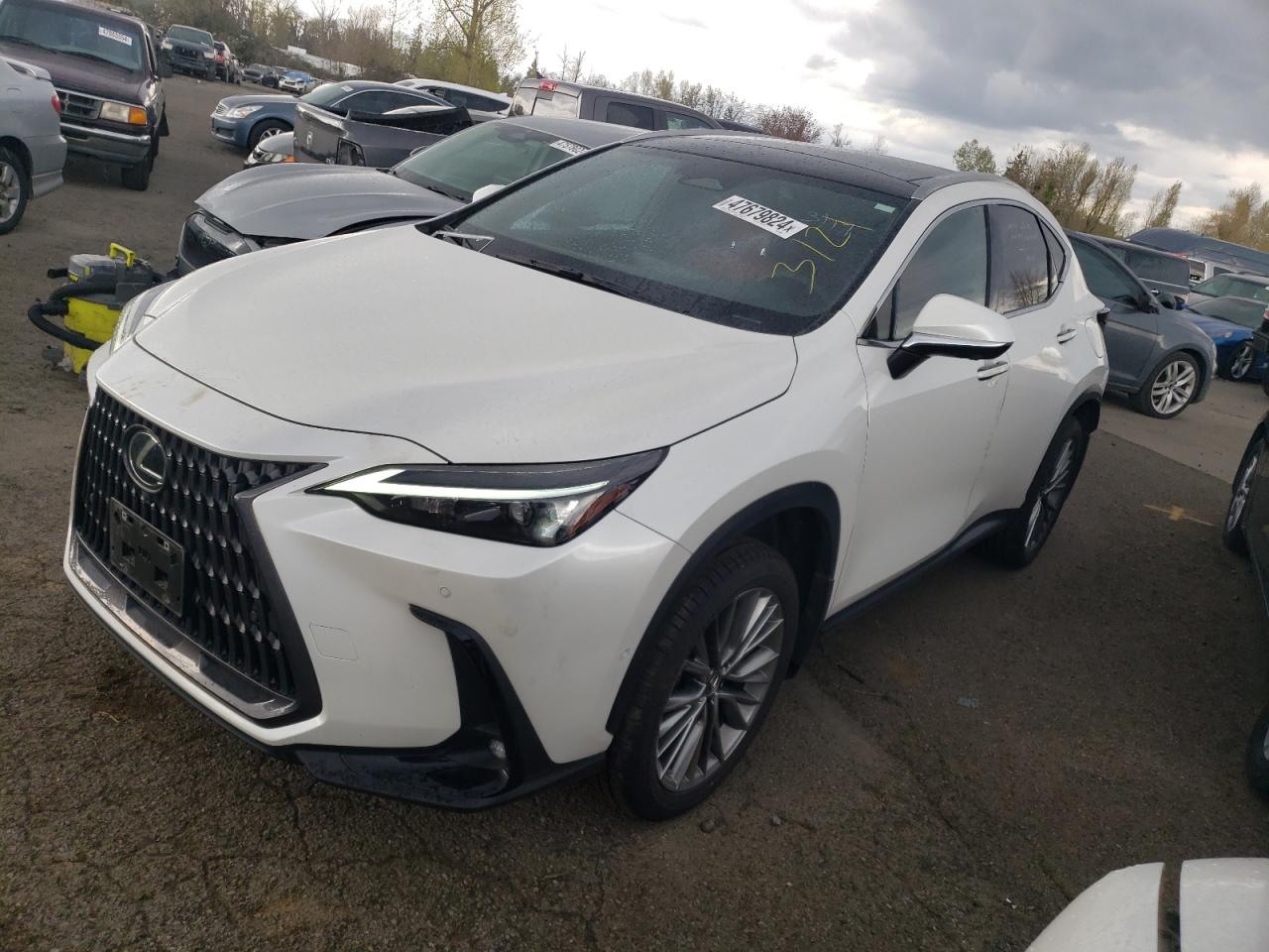 LEXUS NX 2022 jtjhkcez2n2005490