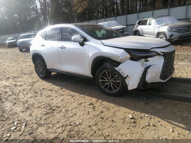 LEXUS NX 350H BA 2024 jtjhkcez2r2021033