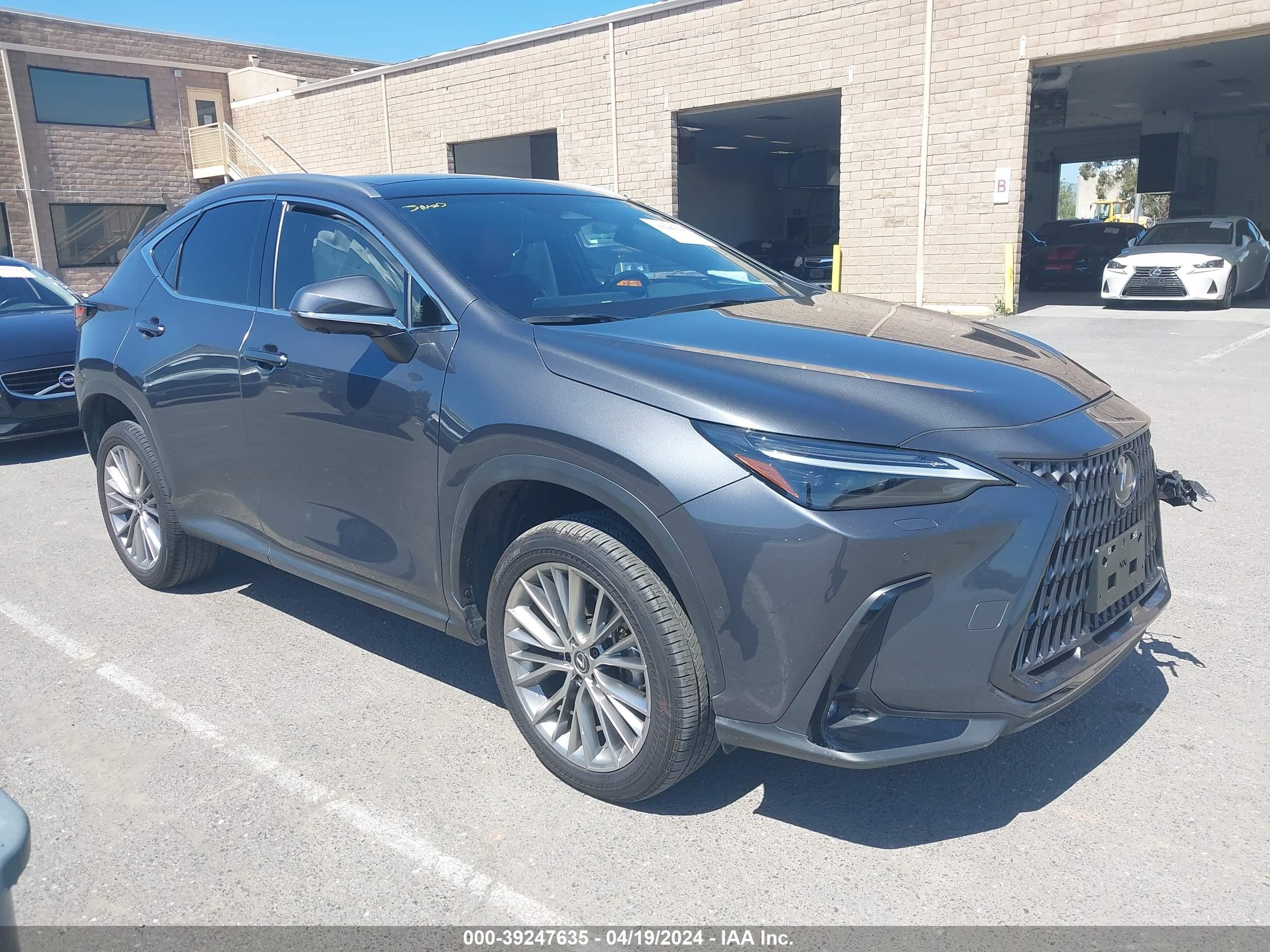 LEXUS NX 2024 jtjhkcez5r5012678