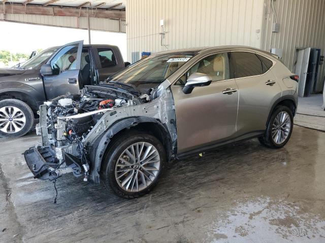 LEXUS NX 350H 2019 jtjhkcez9n2005664