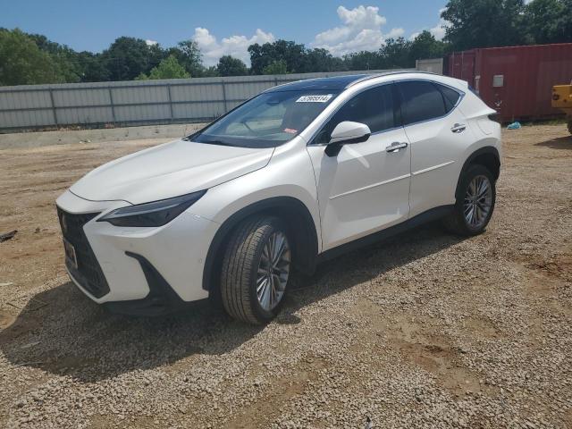 LEXUS NX 350H 2023 jtjhkcezxp2011752