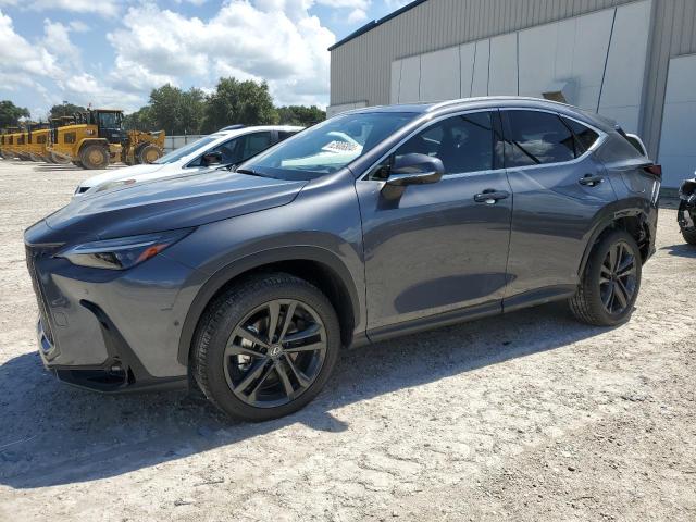 LEXUS NX 450H LU 2024 jtjhkcfz3r2036199