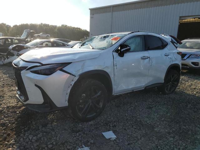 LEXUS NX 450H LU 2024 jtjhkcfz4r2025566