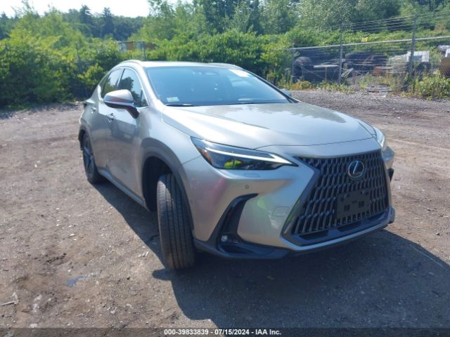 LEXUS NX 2024 jtjhkcfz4r2039452