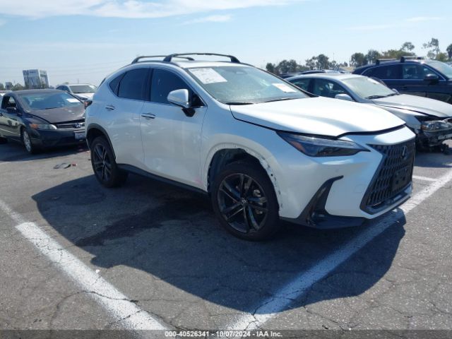 LEXUS NX 2023 jtjhkcfz5p2016694