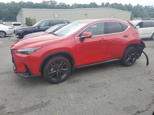 LEXUS NX 450H LU 2024 jtjhkcfz5r2029481