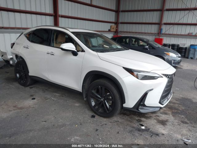 LEXUS NX 2024 jtjhkcfz6r2023043