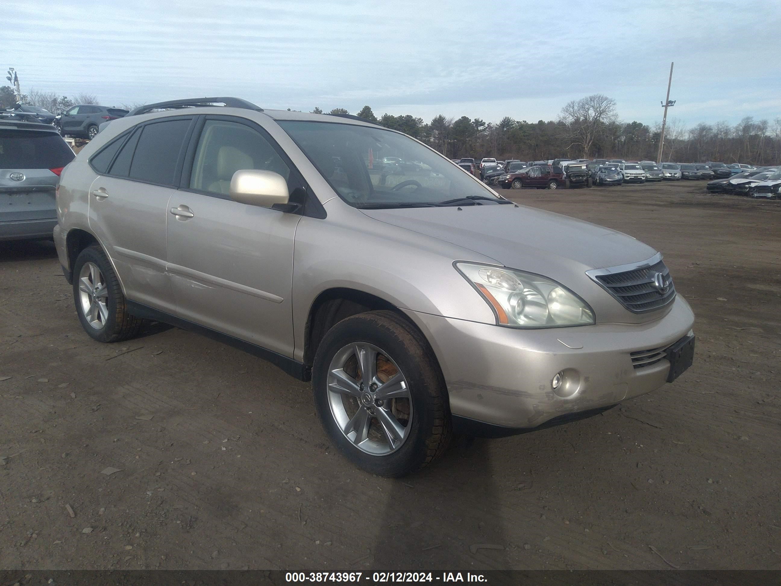 LEXUS RX 2006 jtjhw31u060028455