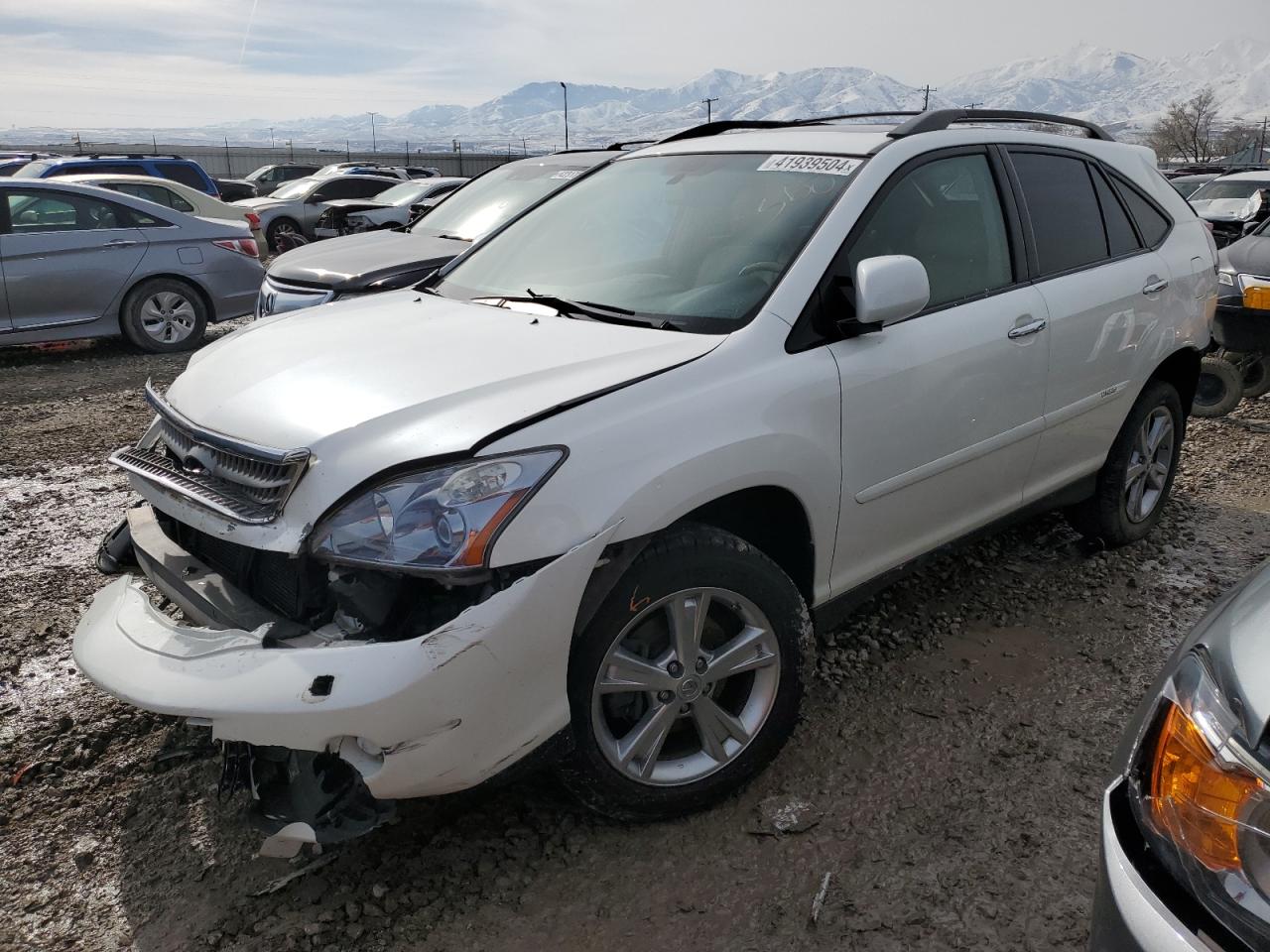 LEXUS RX 2008 jtjhw31u882056057