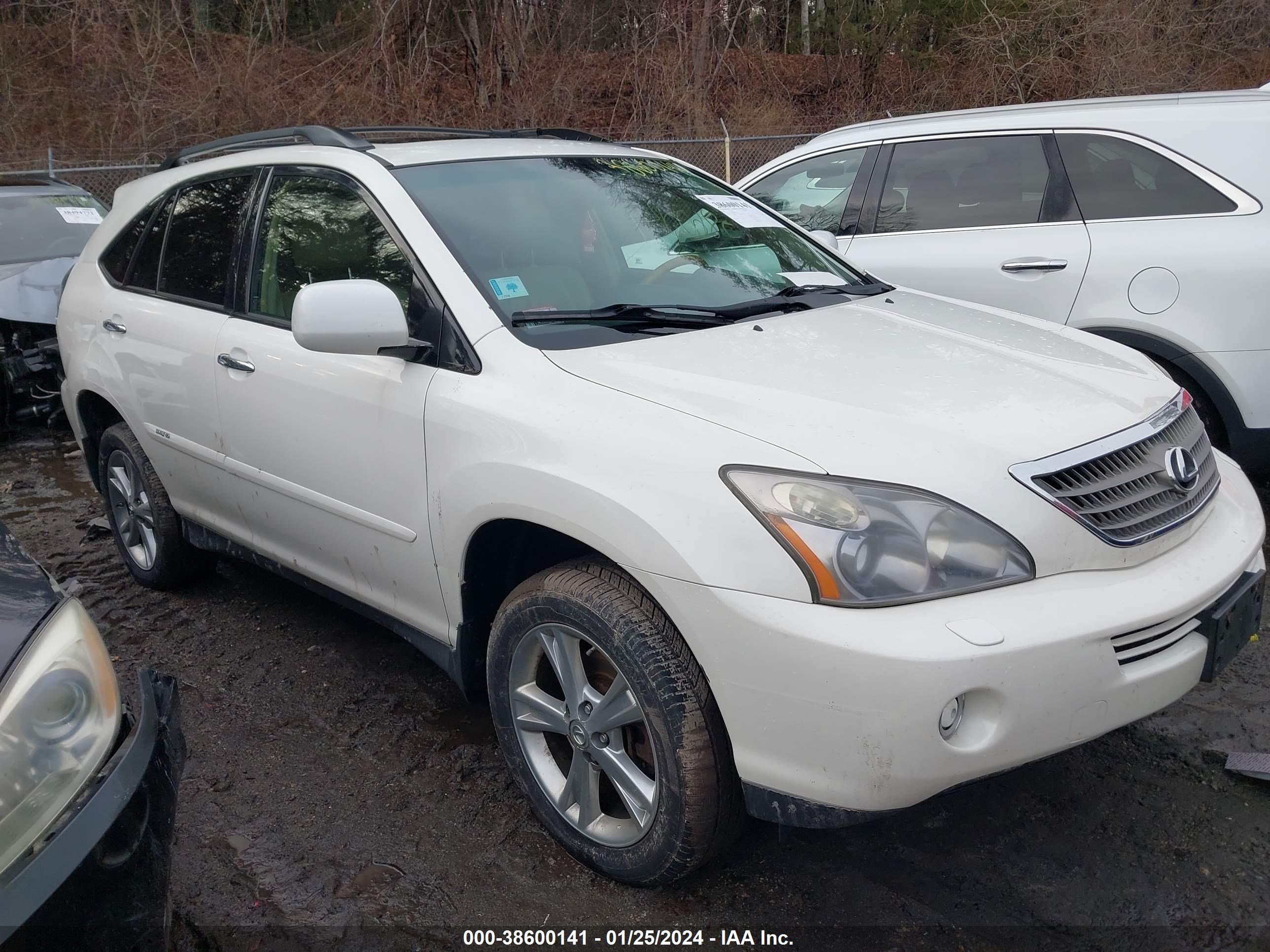 LEXUS RX 2008 jtjhw31u982854227