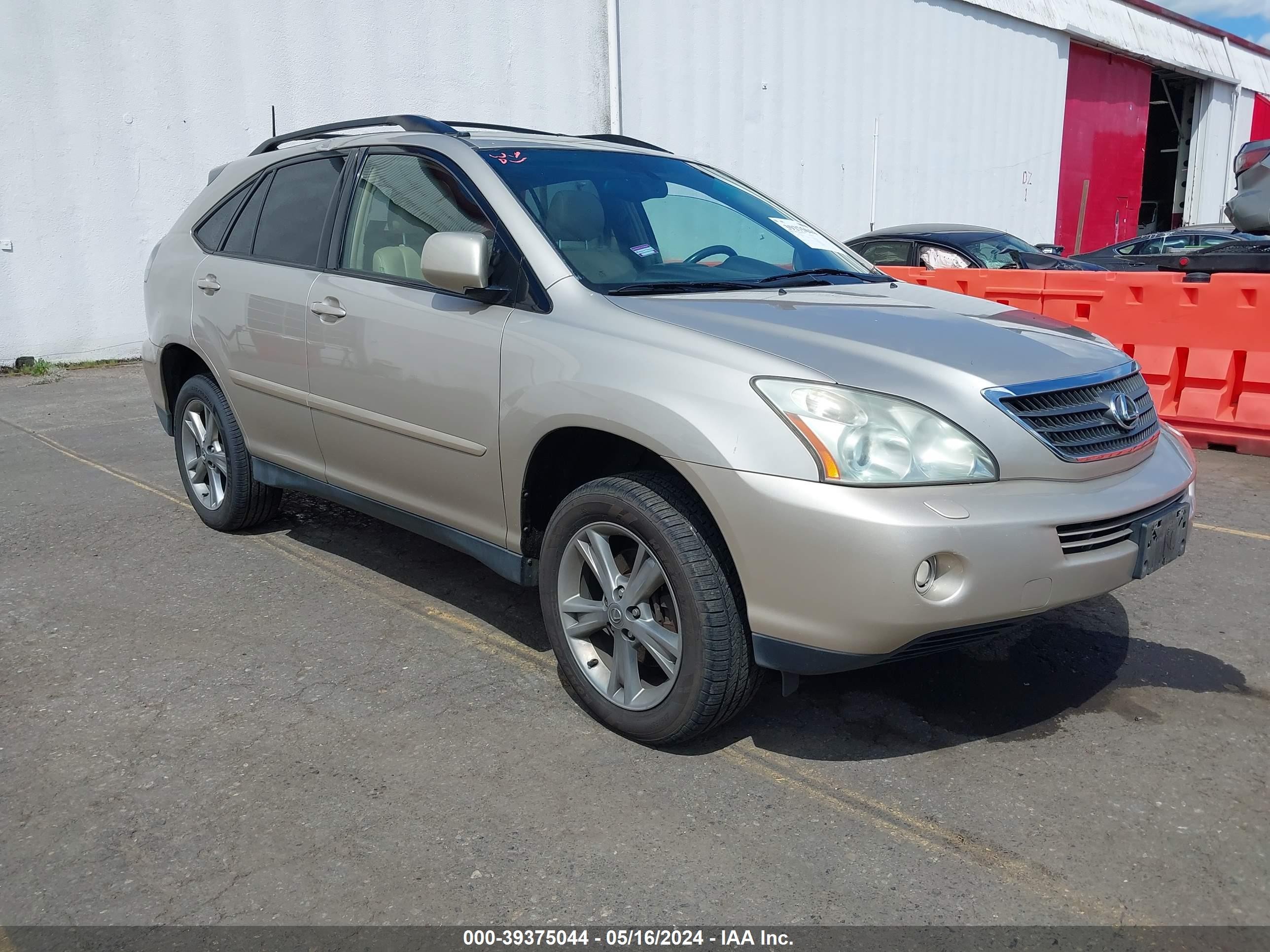 LEXUS RX 2006 jtjhw31ux60010397