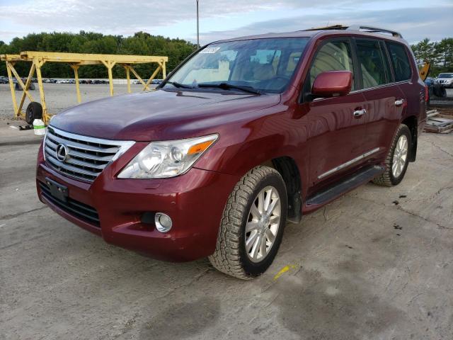 LEXUS LX 570 2008 jtjhy00wx84006552