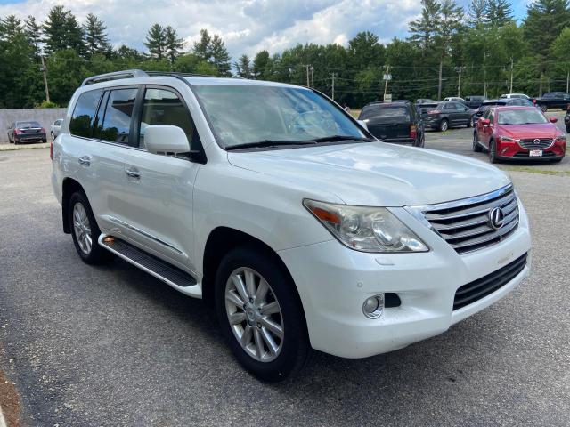 LEXUS LX 570 2010 jtjhy7ax3a4052004