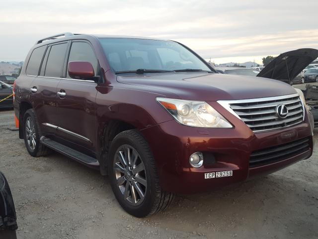 LEXUS LX 570 2010 jtjhy7ax4a4044669