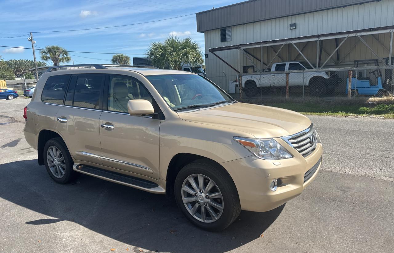 LEXUS LX 2010 jtjhy7ax8a4038065