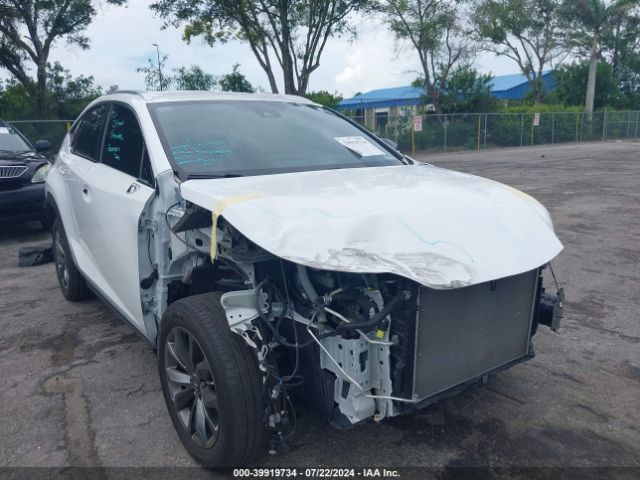 LEXUS NX 2020 jtjjarbz1l5011174