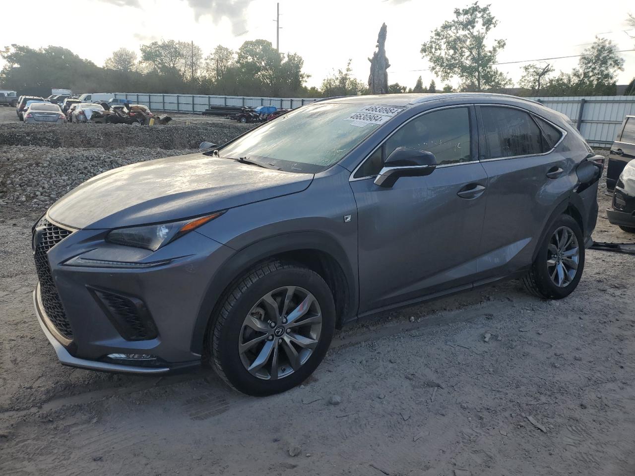 LEXUS NX 2020 jtjjarbz3l2162891