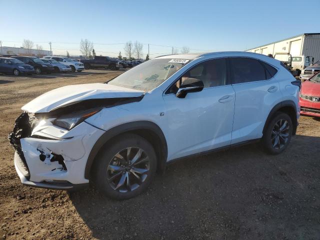 LEXUS NX 2020 jtjjardz1l5009423