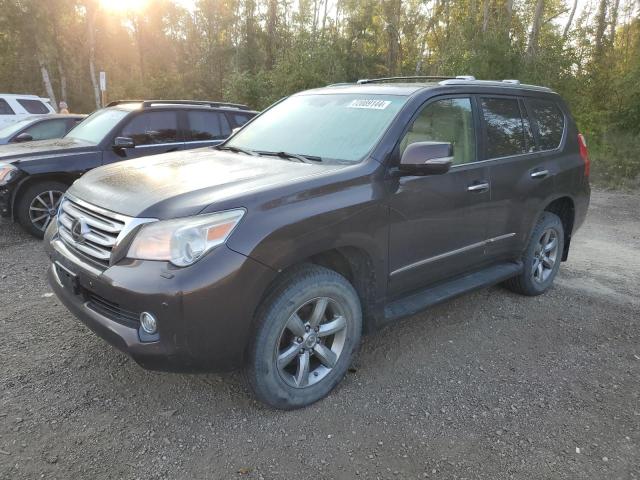 LEXUS GX 460 PRE 2012 jtjjm7fx3c5049767