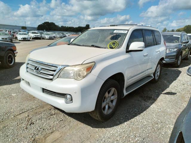 LEXUS GX 460 PRE 2010 jtjjm7fx6a5005940