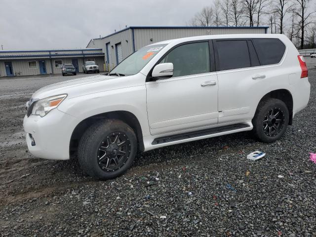 LEXUS GX 460 PRE 2011 jtjjm7fx6b5030614