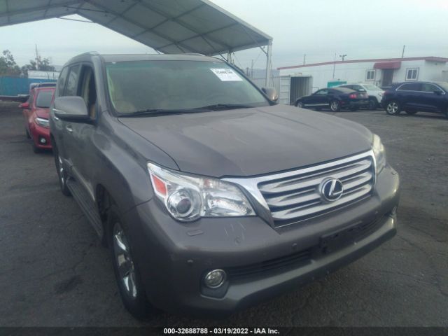 LEXUS GX 460 2010 jtjjm7fx7a5009480