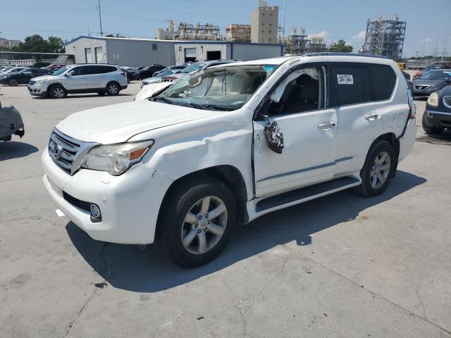 LEXUS GX 2010 jtjjm7fx8a5015353