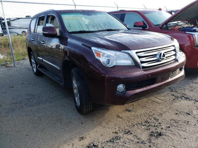 LEXUS GX 460 PRE 2010 jtjjm7fx9a5016639