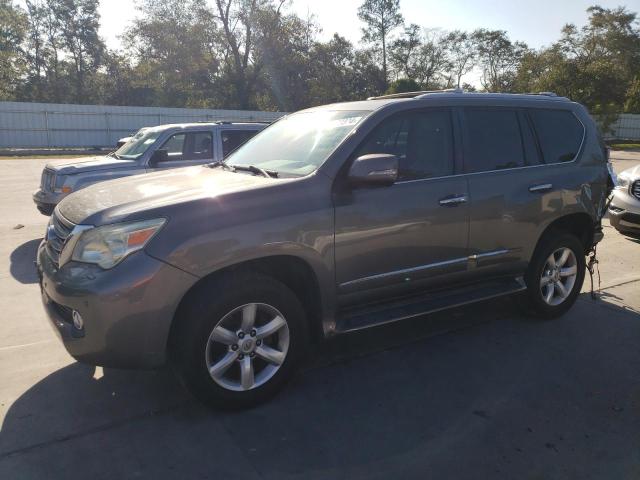 LEXUS GX 460 PRE 2010 jtjjm7fxxa5001468