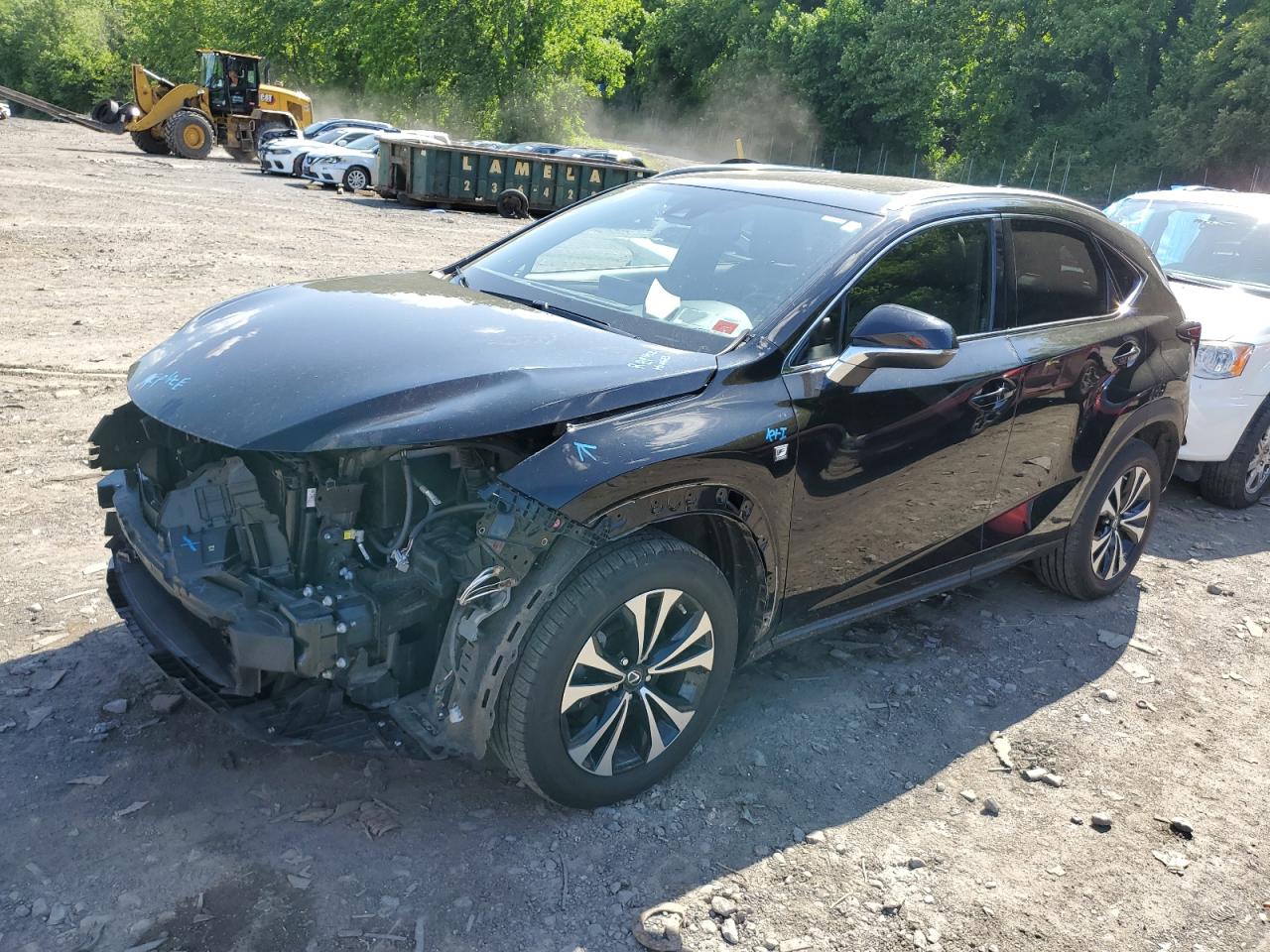 LEXUS NX 2020 jtjsardz3l2234920