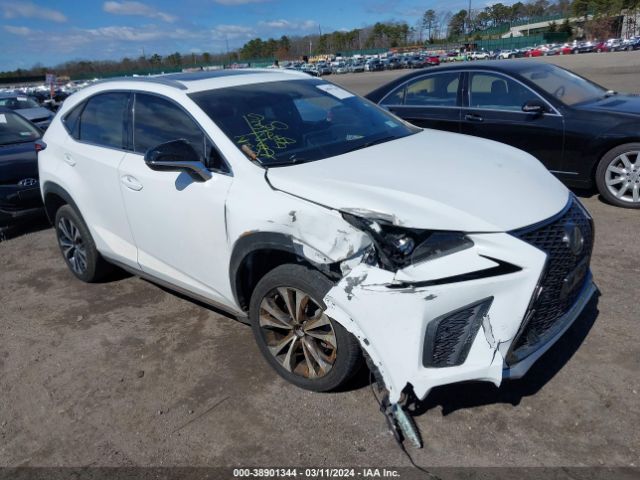 LEXUS NX 300 2020 jtjsardz4l5002180