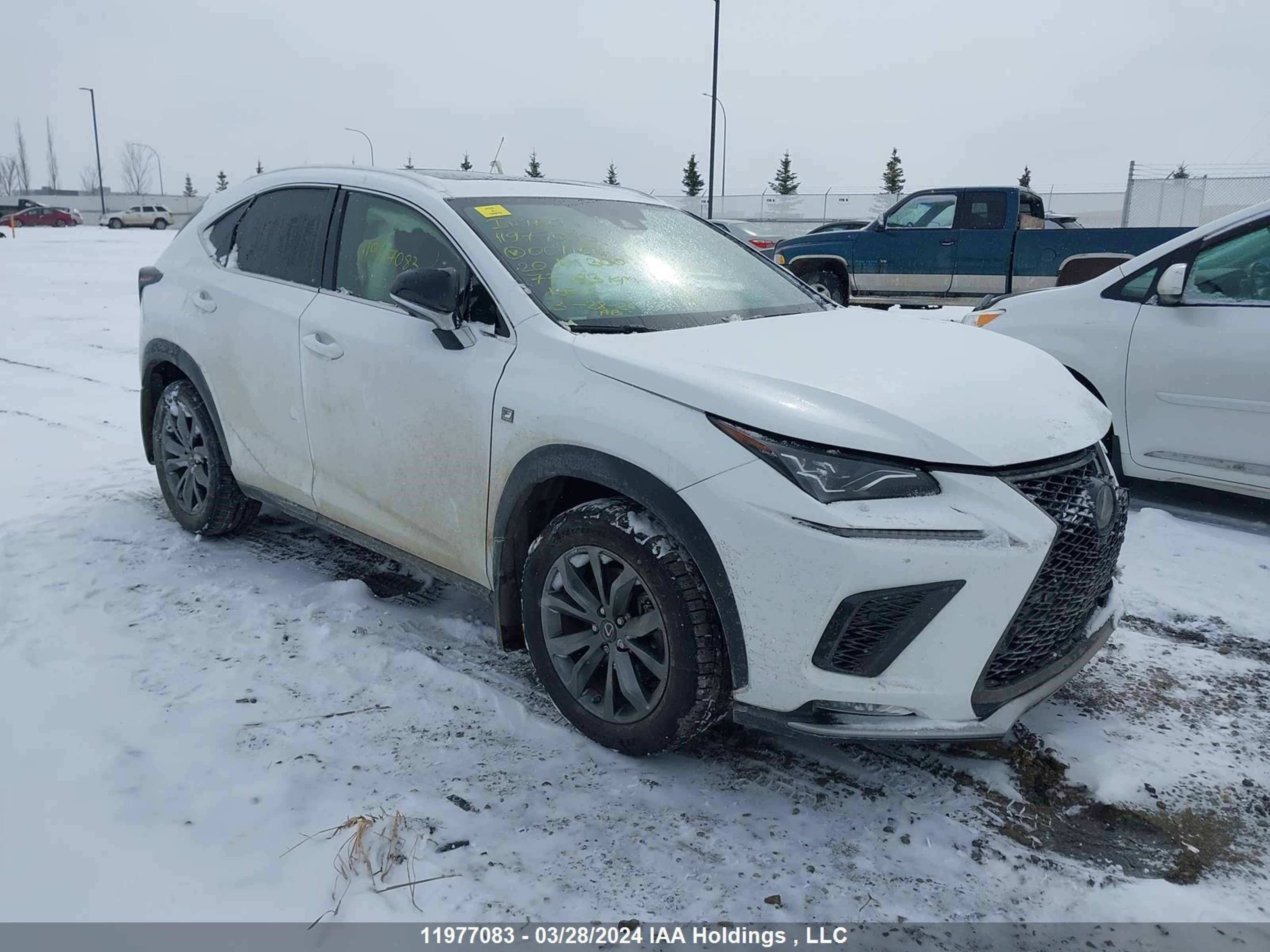 LEXUS NX 2020 jtjsardz5l5001104