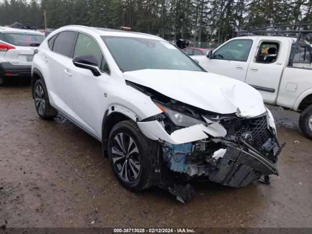 LEXUS NX 300 2019 jtjsardz8l5000416