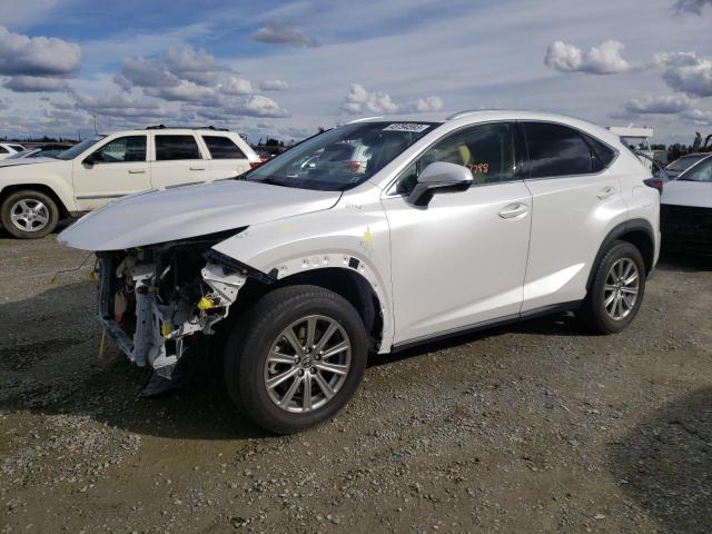 LEXUS NX 300 BAS 2019 jtjyarbz0k2118098