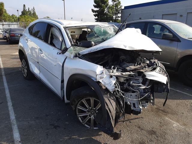 LEXUS NX 300 BAS 2019 jtjyarbz0k2130364