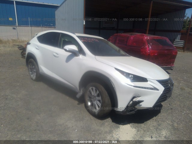 LEXUS NX 2019 jtjyarbz0k2134558