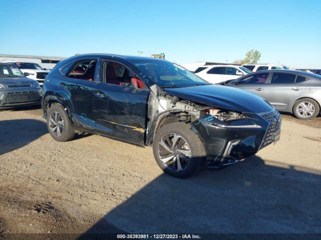 LEXUS NX 300 2019 jtjyarbz0k2135399