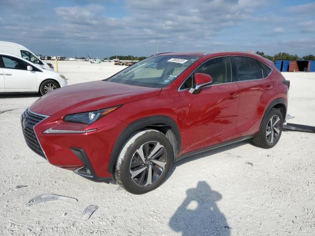 LEXUS NX 2019 jtjyarbz0k2137489