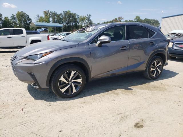 LEXUS NX 300 BAS 2019 jtjyarbz0k2143325