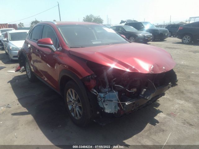 LEXUS NX 2019 jtjyarbz0k2146435