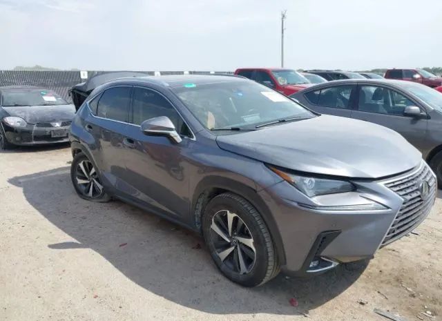 LEXUS NX 2019 jtjyarbz0k2149240