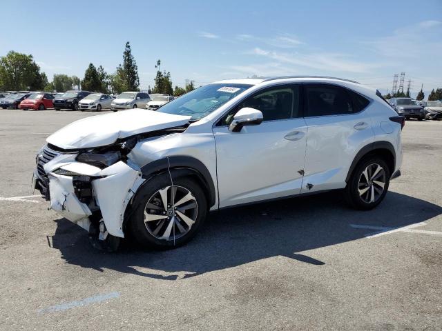 LEXUS NX 300 BAS 2019 jtjyarbz1k2134262