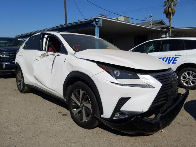 LEXUS NULL 2019 jtjyarbz1k2135296